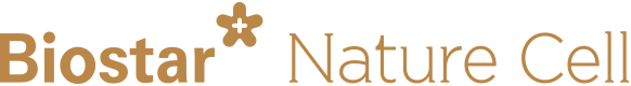 Diamond Sponsors logo